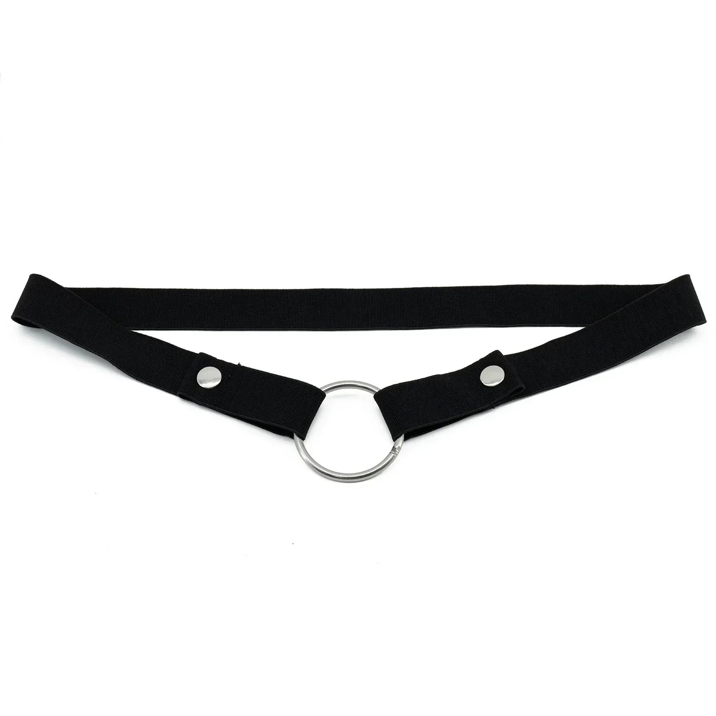 Anti-Off Chastity Belt (Belt Only) - Puppy's Aesthetics