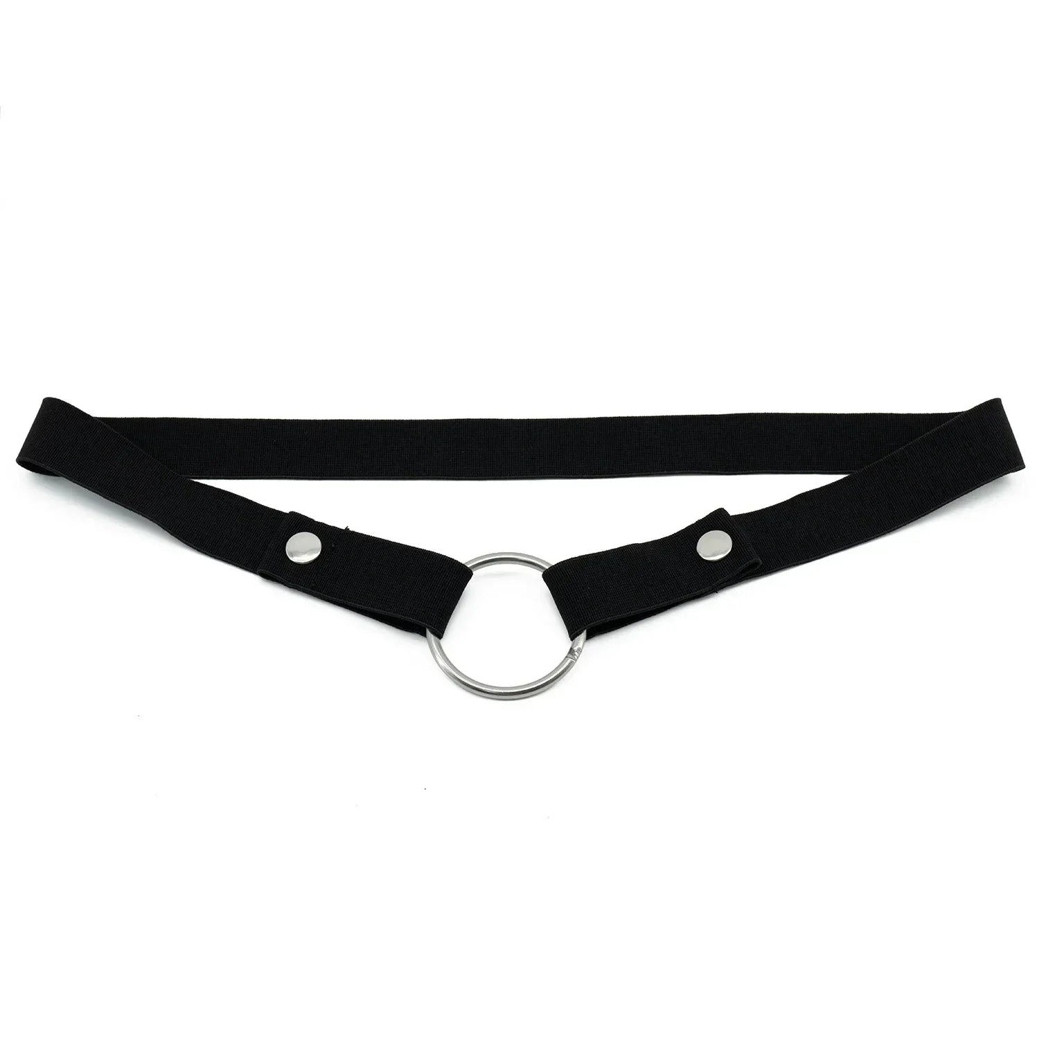 Anti-Off Chastity Belt (Belt Only) - Puppy's Aesthetics