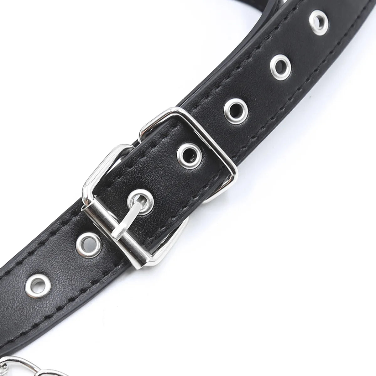 Obedient Pup Bit Gag & Leash Set