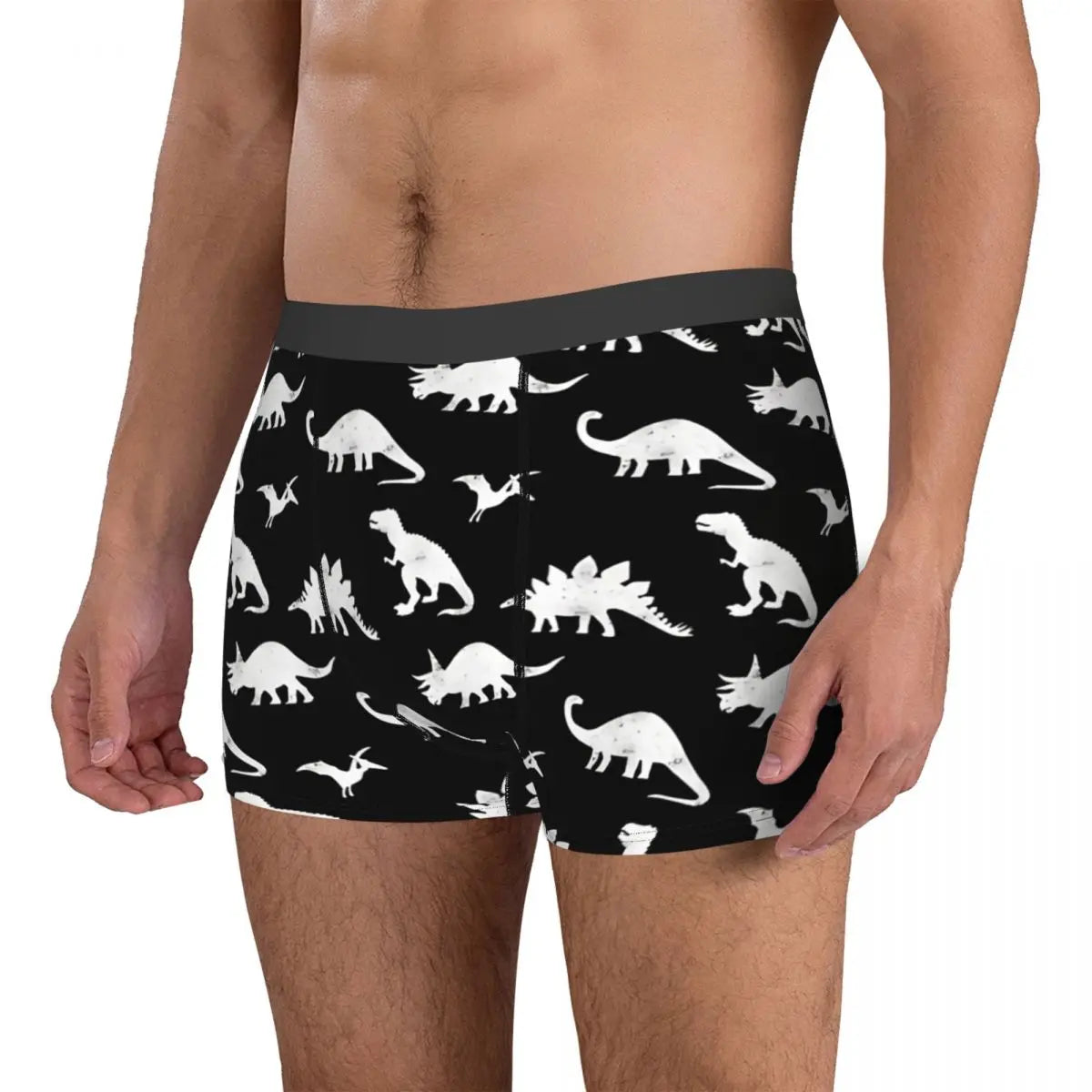 Roar & Rest Boxer Briefs