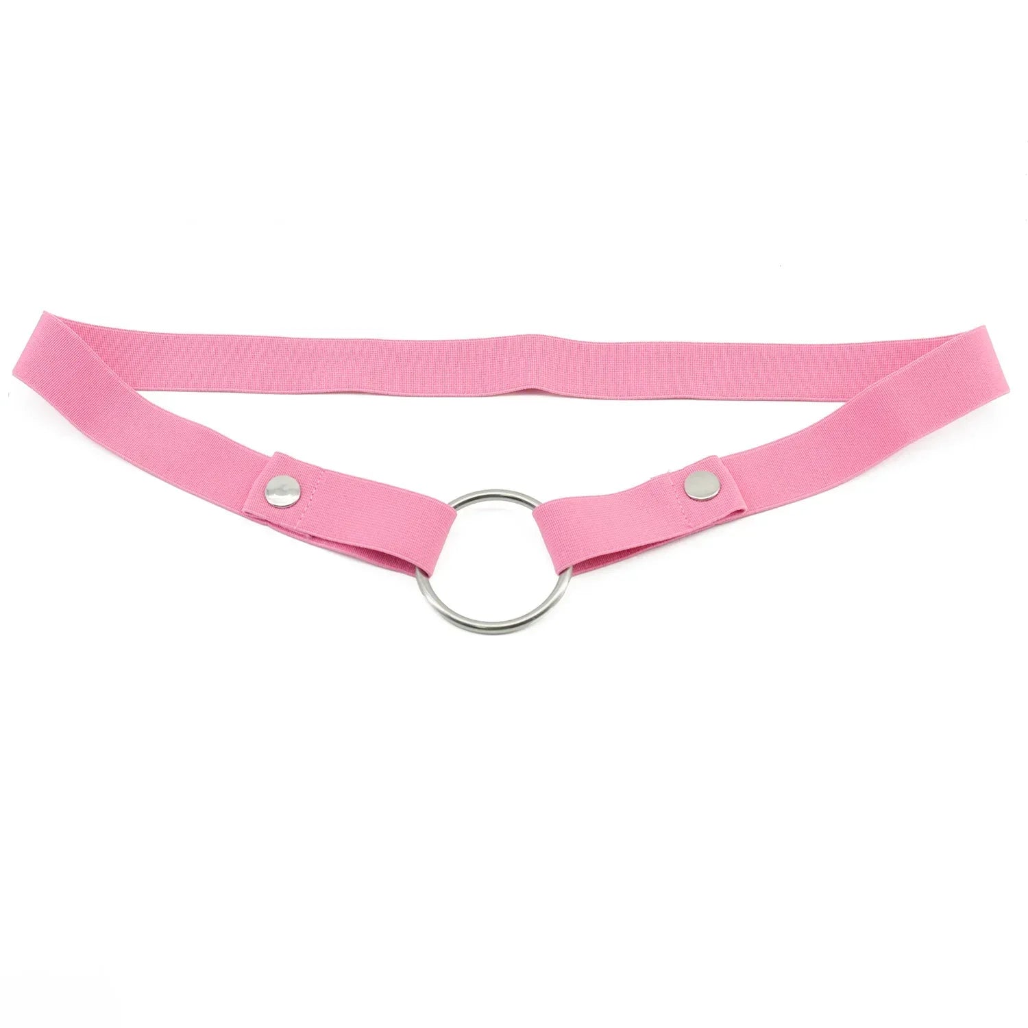 Anti-Off Chastity Belt (Belt Only) - Puppy's Aesthetics