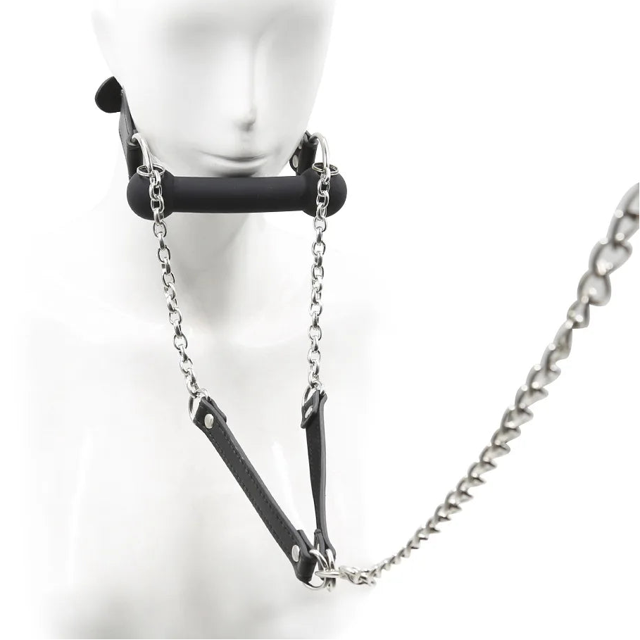 Obedient Pup Bit Gag & Leash Set