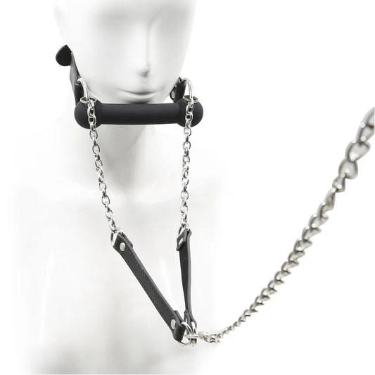 Obedient Pup Bit Gag & Leash Set