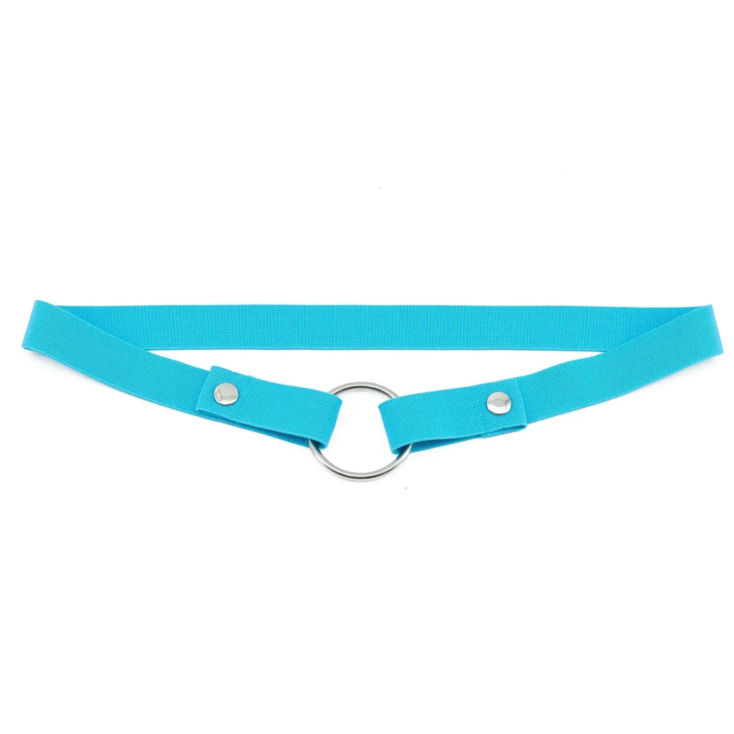 Anti-Off Chastity Belt (Belt Only) - Puppy's Aesthetics