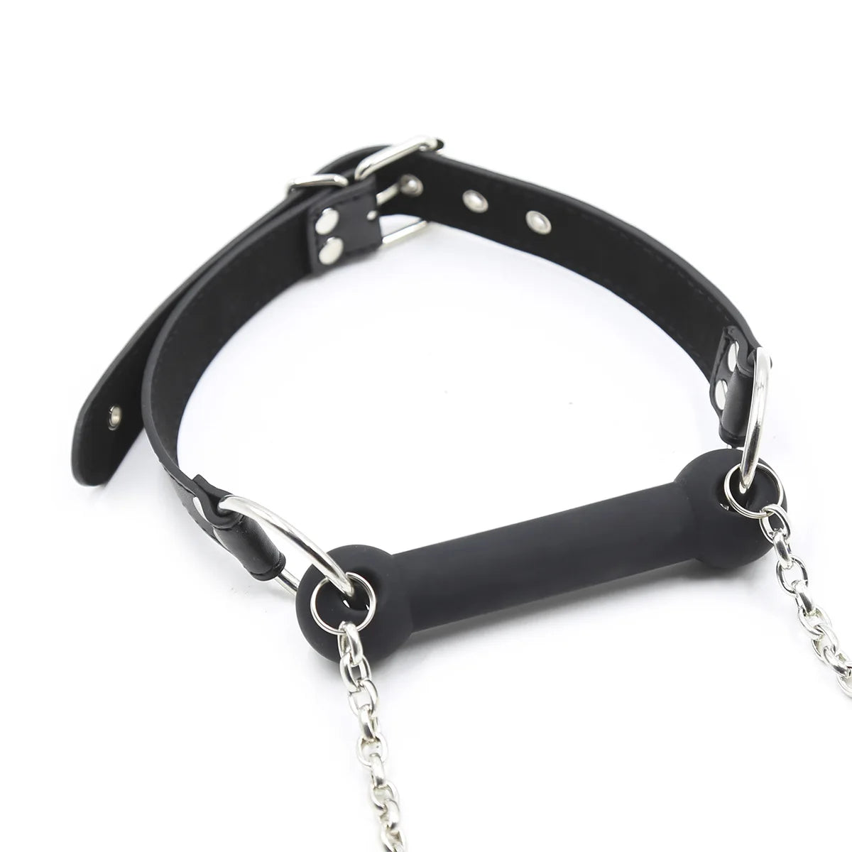 Obedient Pup Bit Gag & Leash Set