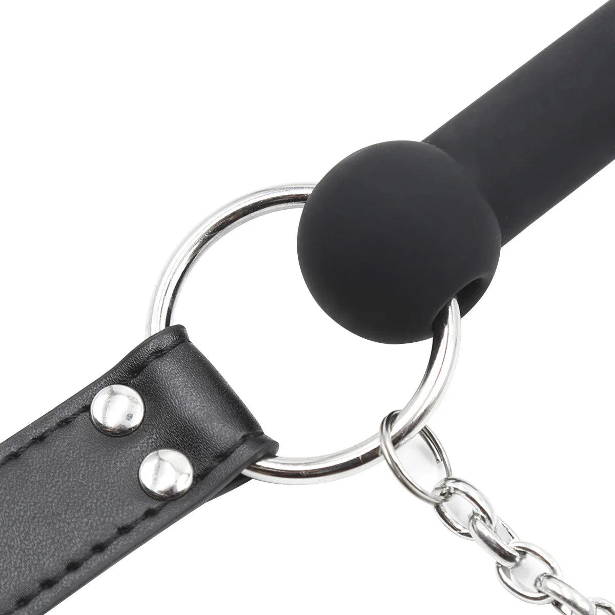 Obedient Pup Bit Gag & Leash Set
