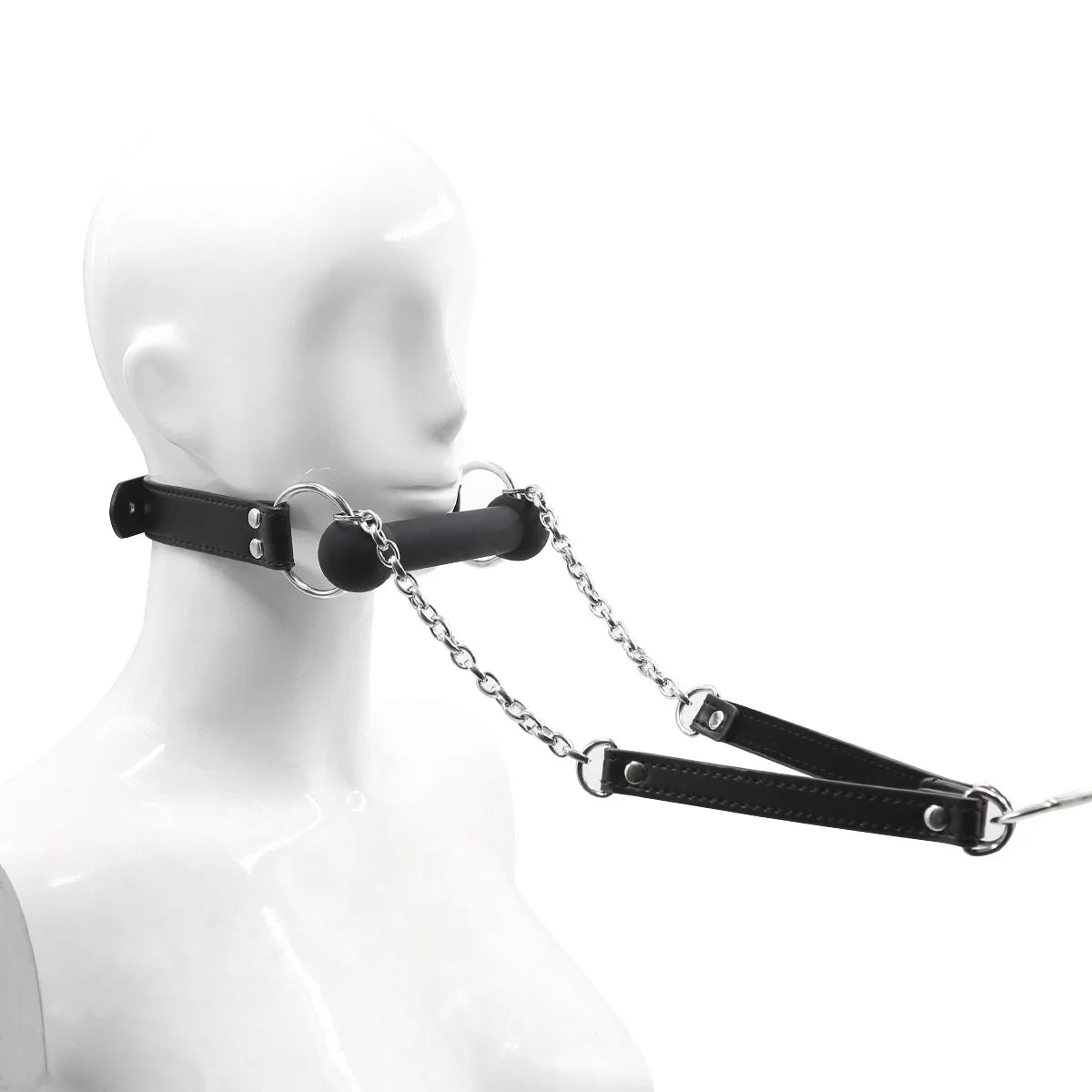 Obedient Pup Bit Gag & Leash Set
