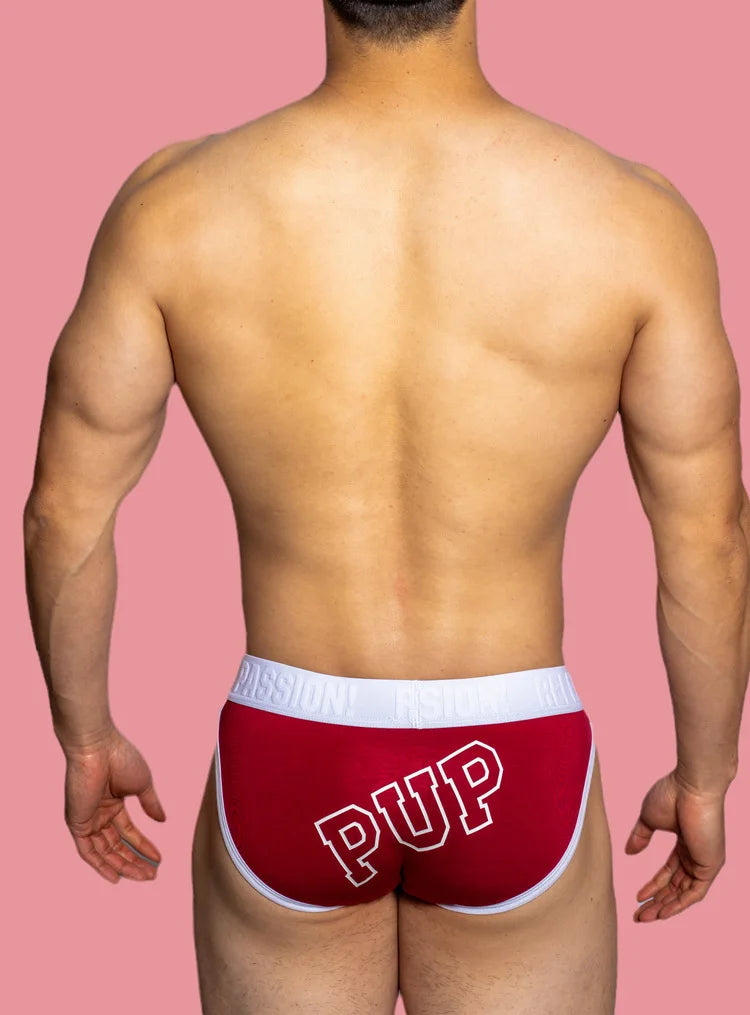 Playful Pup Briefs (Colors)