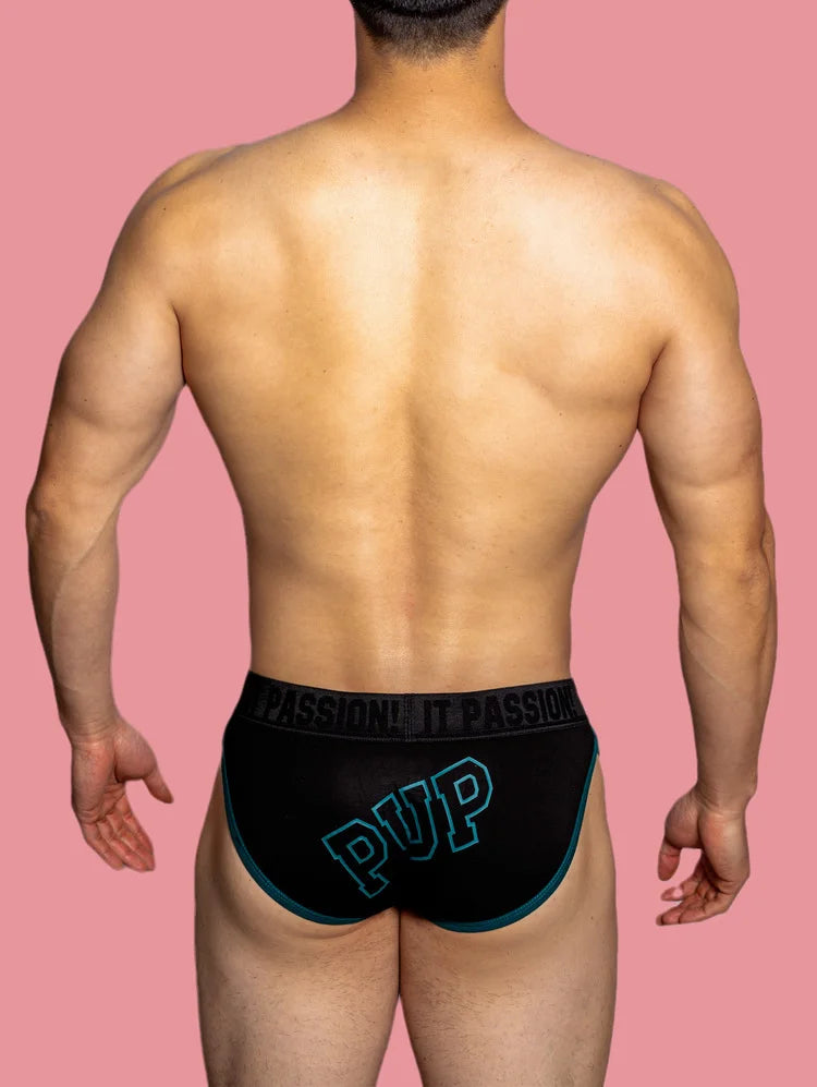 Playful Pup Briefs (Colors)