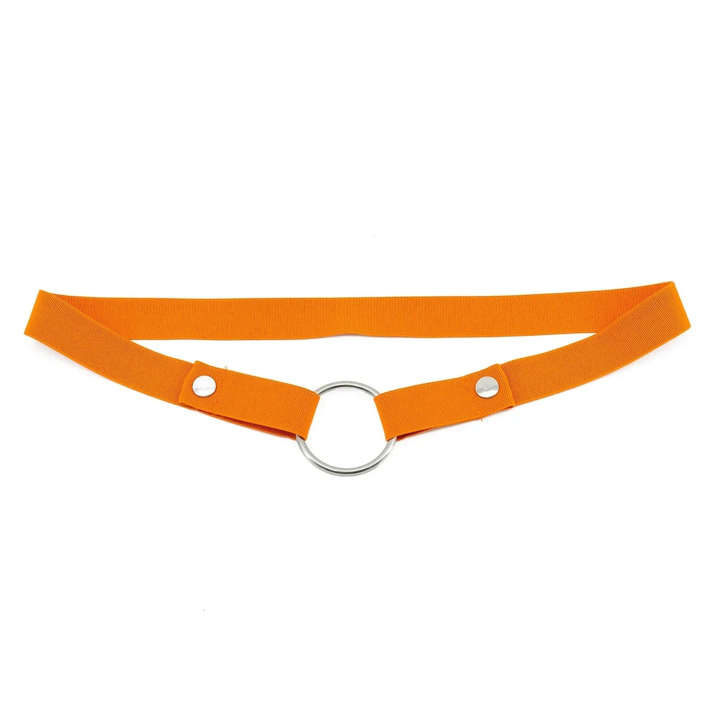 Anti-Off Chastity Belt (Belt Only) - Puppy's Aesthetics