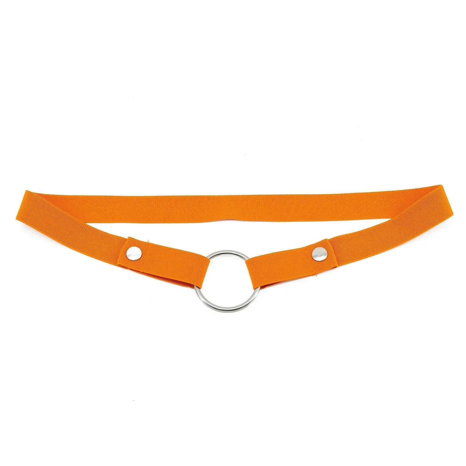 Anti-Off Chastity Belt (Belt Only) - Puppy's Aesthetics
