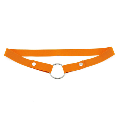 Anti-Off Chastity Belt (Belt Only) - Puppy's Aesthetics