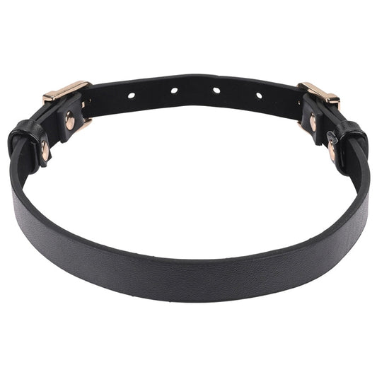 S&M Double Buckle Day Collar