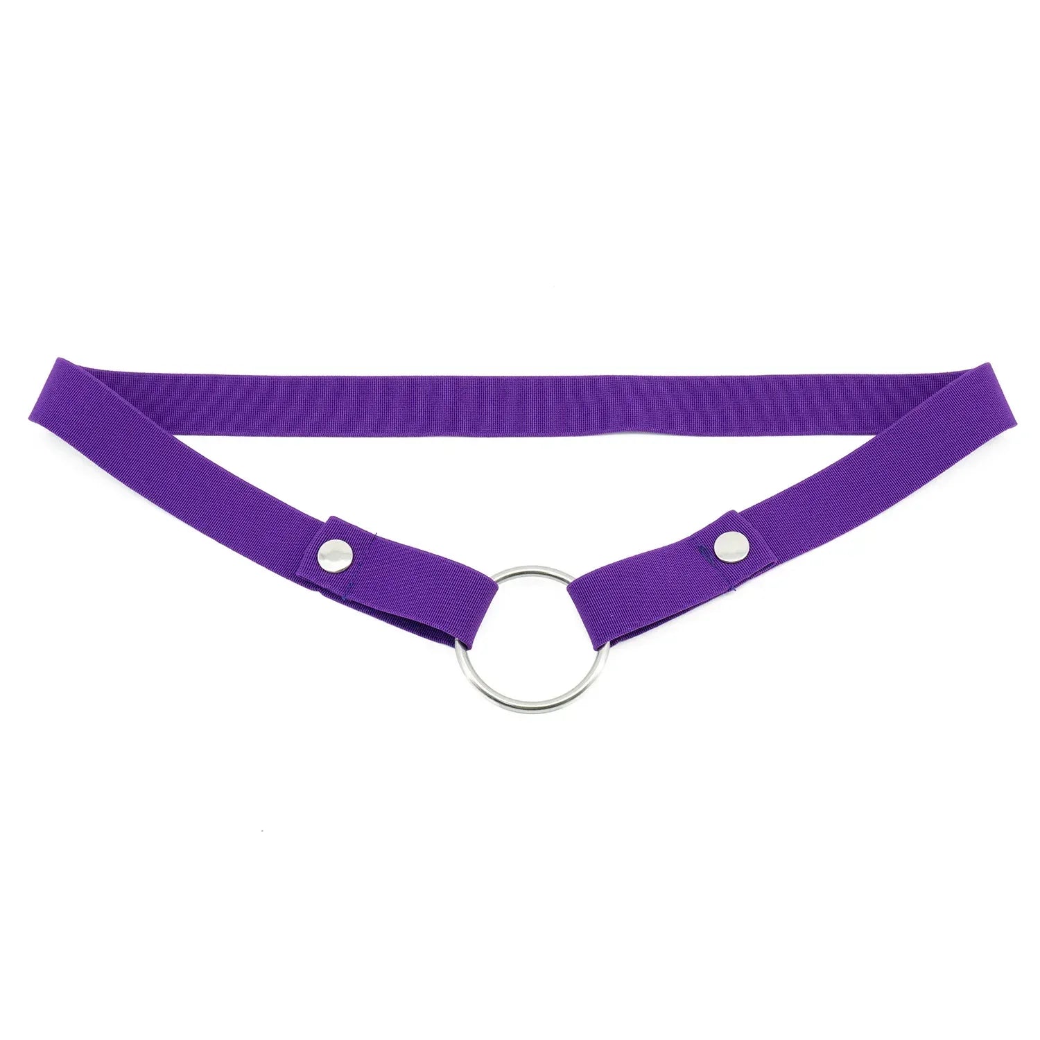 Anti-Off Chastity Belt (Belt Only) - Puppy's Aesthetics