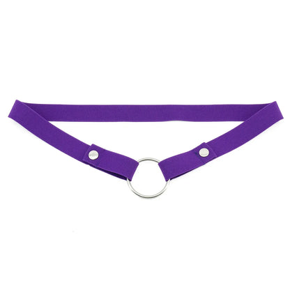 Anti-Off Chastity Belt (Belt Only) - Puppy's Aesthetics