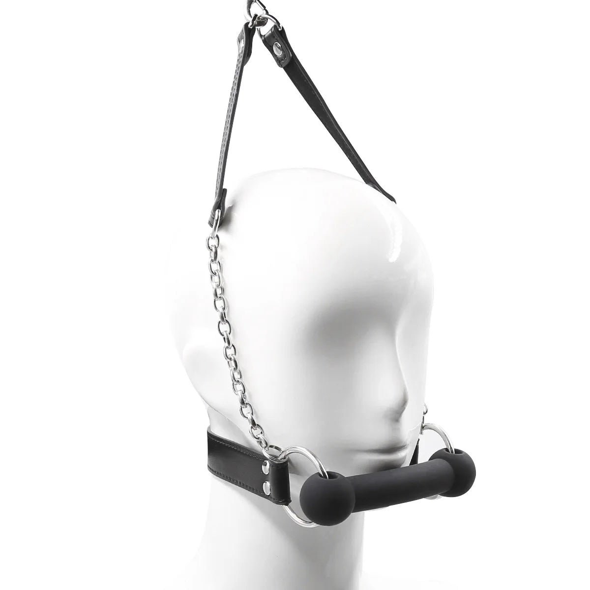 Obedient Pup Bit Gag & Leash Set