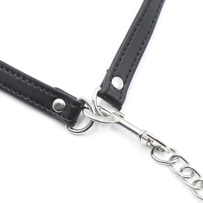 Obedient Pup Bit Gag & Leash Set