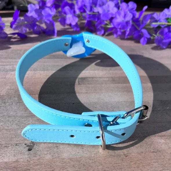 Blue Little Bed Wetter Pacifier Gag