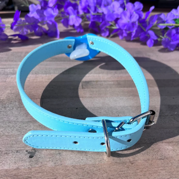 Blue Little Bed Wetter Pacifier Gag