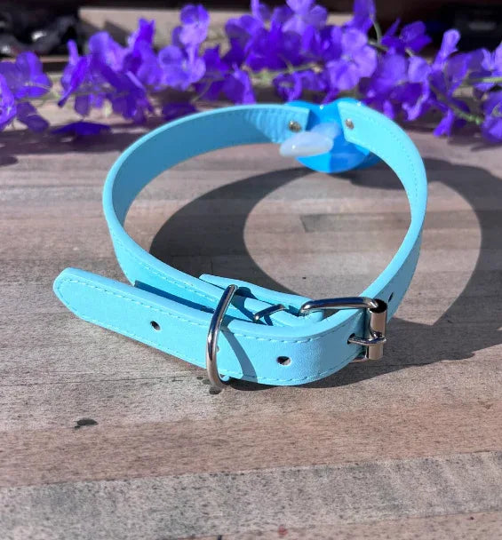 Blue Little Bed Wetter Pacifier Gag