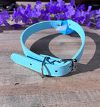 Blue Little Bed Wetter Pacifier Gag