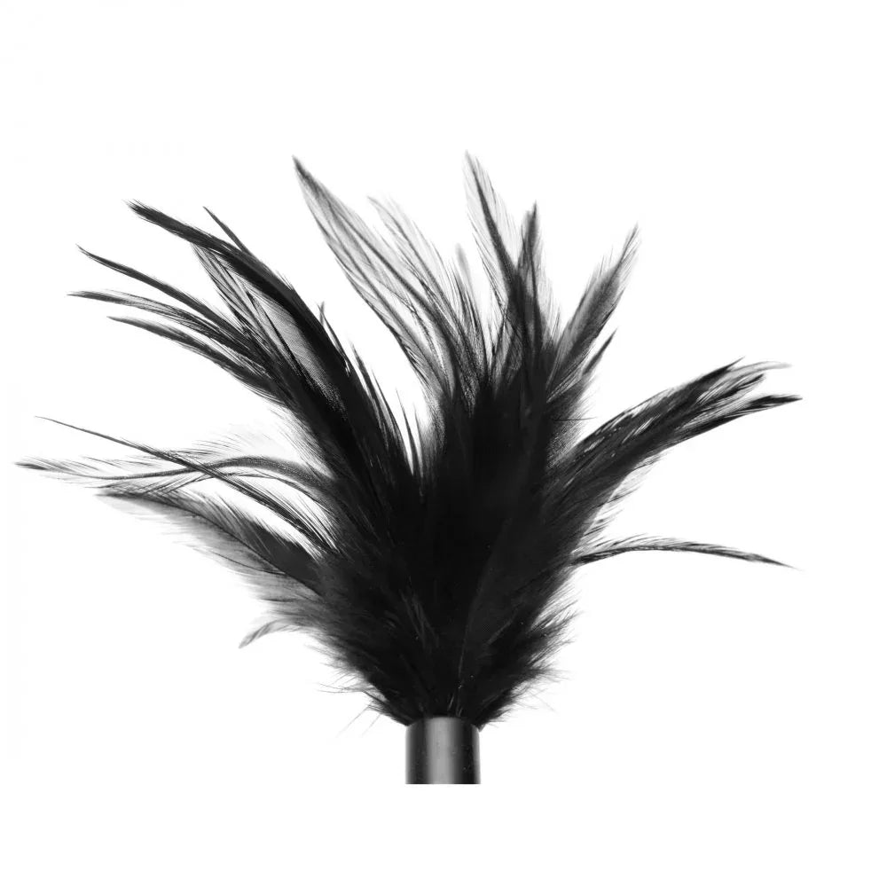 Le Plume Feather Tickler – Sensory Delight - Puppy's Aesthetics
