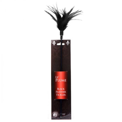 Le Plume Feather Tickler – Sensory Delight - Puppy's Aesthetics
