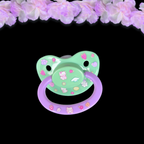 Glow In The Dark Adult Pacifier - Fruits & Kittens