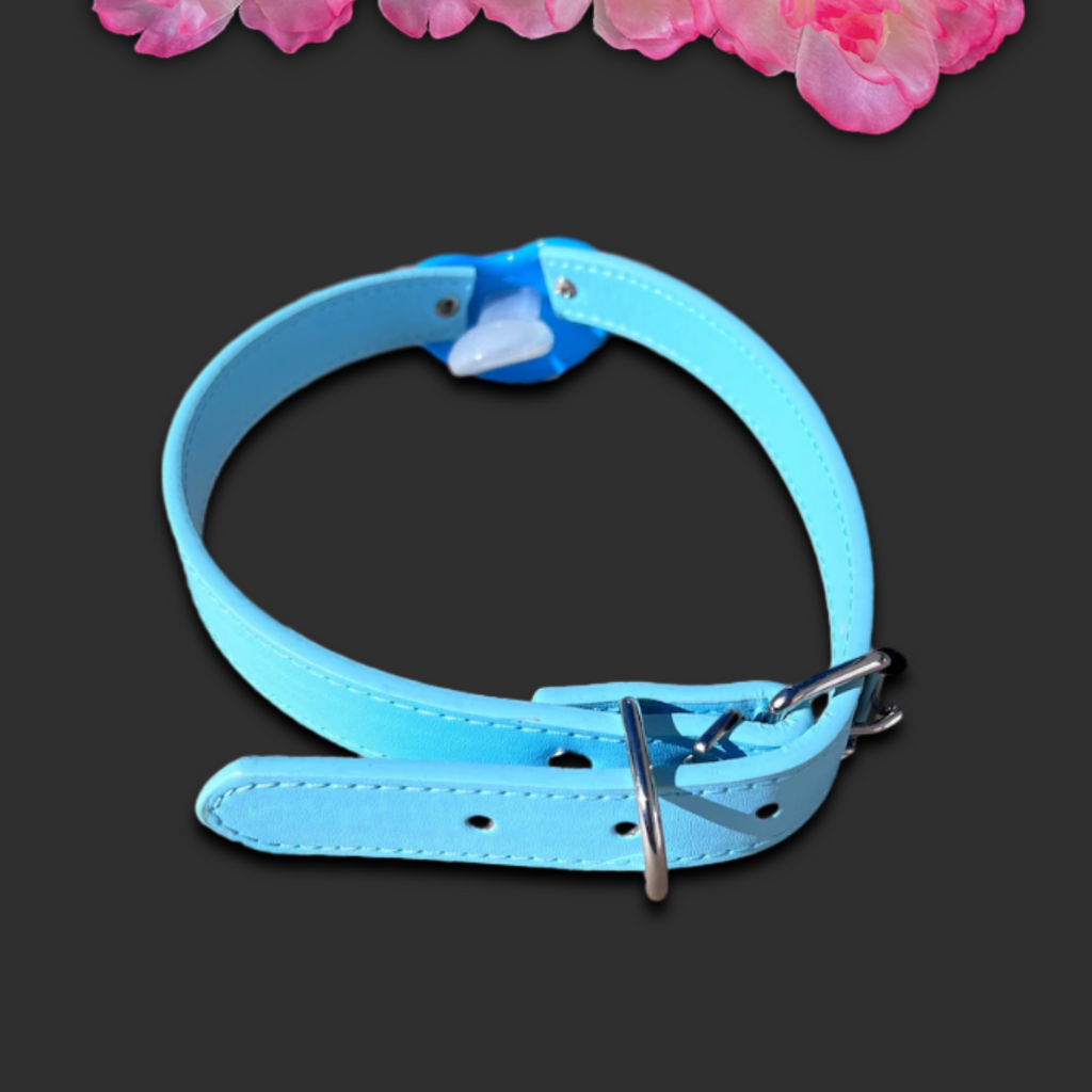 Blue Splash Zone Pacifier Gag