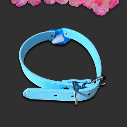 Blue Splash Zone Pacifier Gag - Puppy's Aesthetics