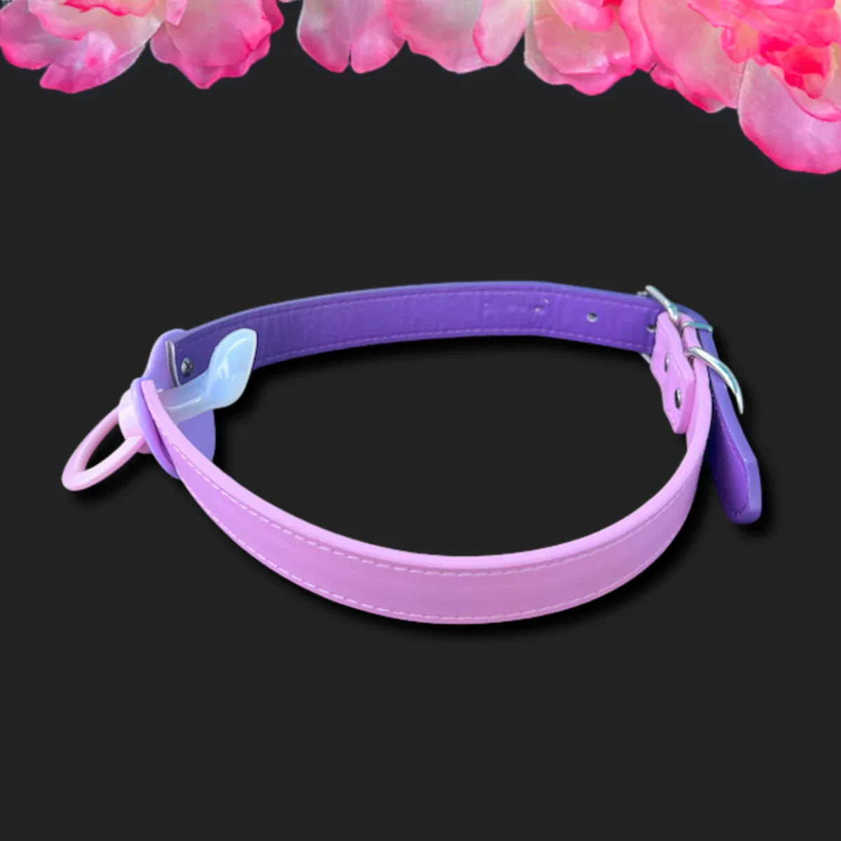 Unicorn Mismatch Pacifier Gag - Puppy's Aesthetics