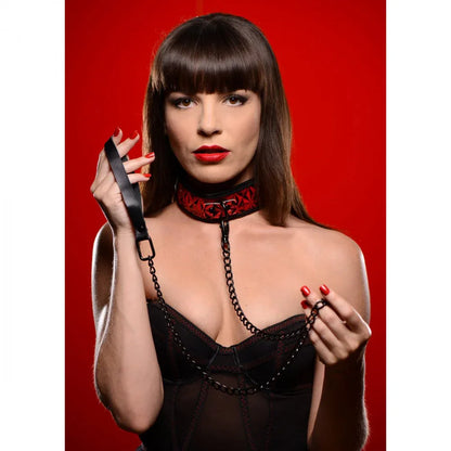 Crimson Tied Leash and Collar Set - Puppy's Aesthetics
