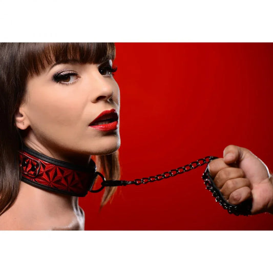Crimson Tied Leash and Collar Set - Puppy's Aesthetics
