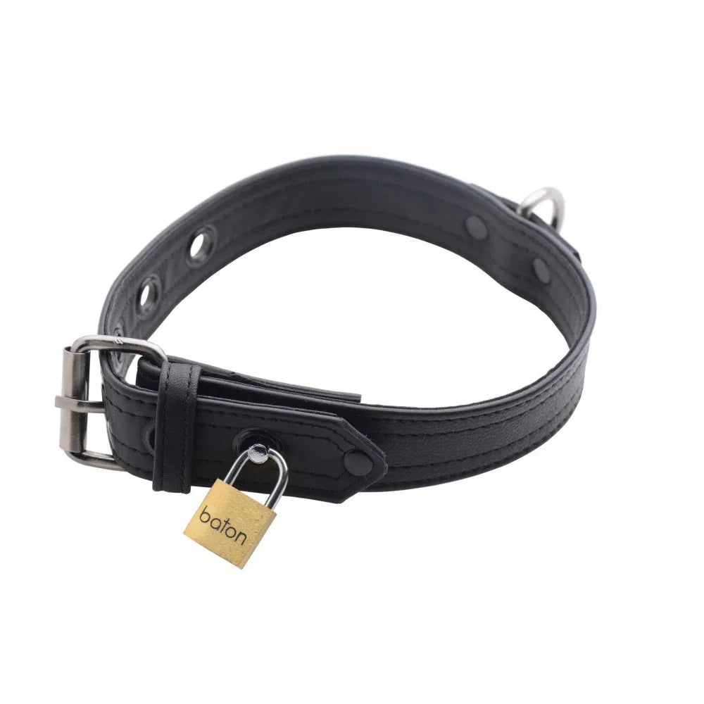 Strict Leather Luxury Locking Collar - Puppy's Aesthetics