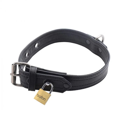 Strict Leather Luxury Locking Collar - Puppy's Aesthetics