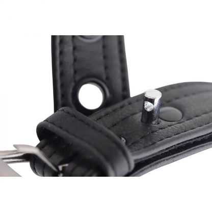 Strict Leather Luxury Locking Collar - Puppy's Aesthetics