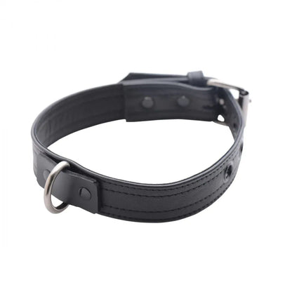 Strict Leather Luxury Locking Collar - Puppy's Aesthetics
