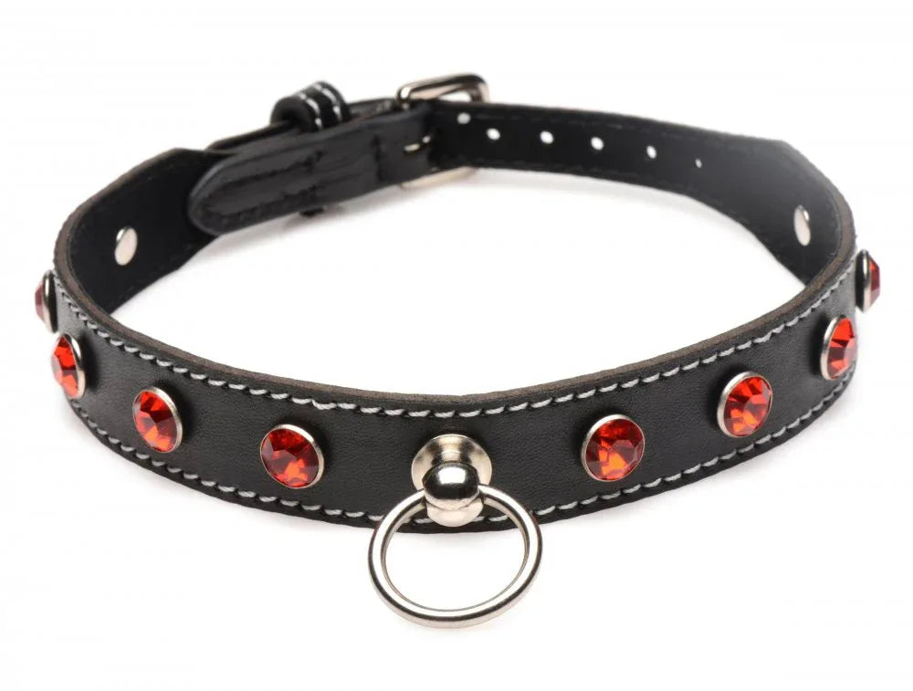Rhinestone Collar with O-Ring - Puppy's Aesthetics