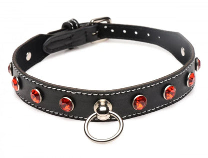 Rhinestone Collar with O-Ring - Puppy's Aesthetics
