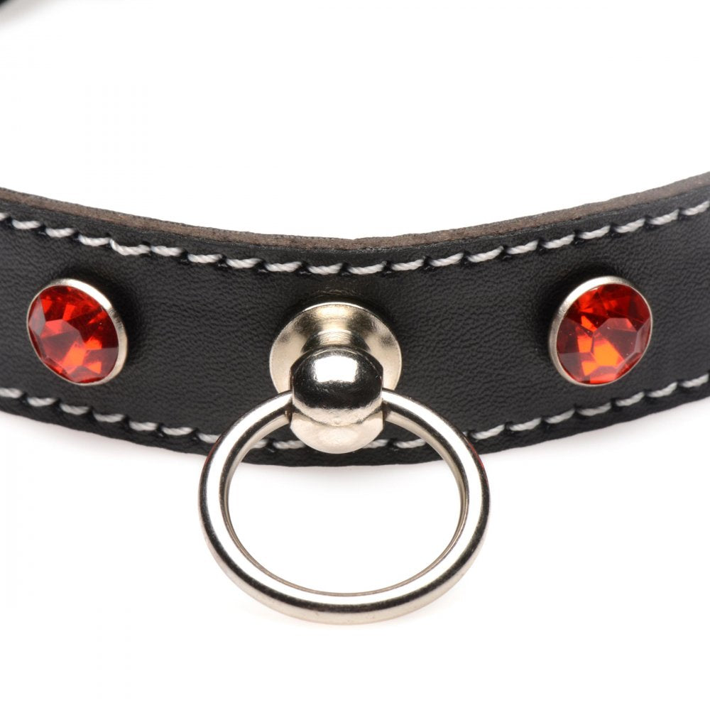 Rhinestone Collar with O-Ring