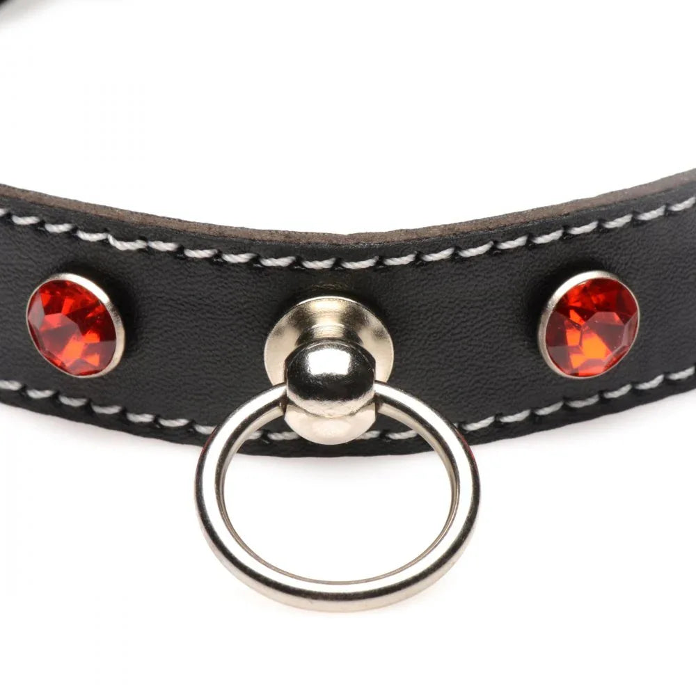 Rhinestone Collar with O-Ring - Puppy's Aesthetics