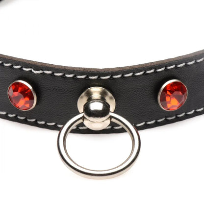 Rhinestone Collar with O-Ring - Puppy's Aesthetics