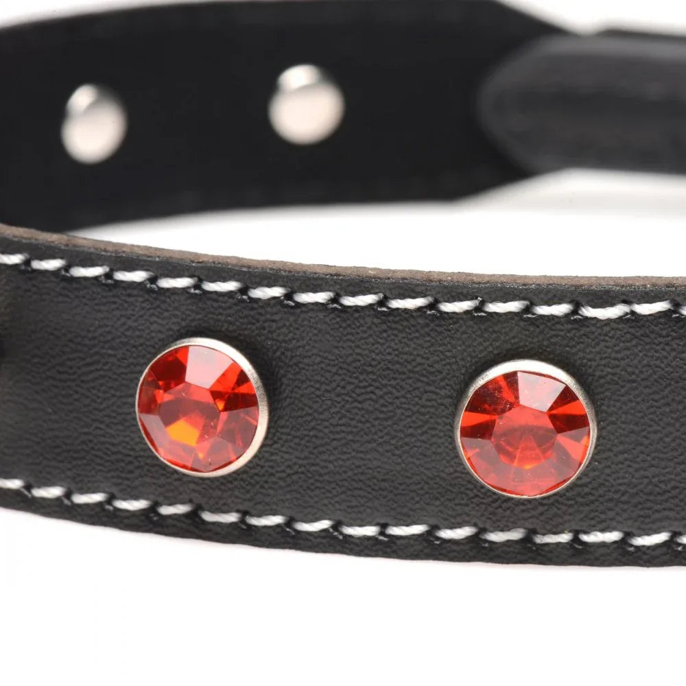 Rhinestone Collar with O-Ring - Puppy's Aesthetics