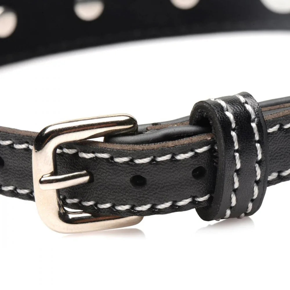 Rhinestone Collar with O-Ring - Puppy's Aesthetics