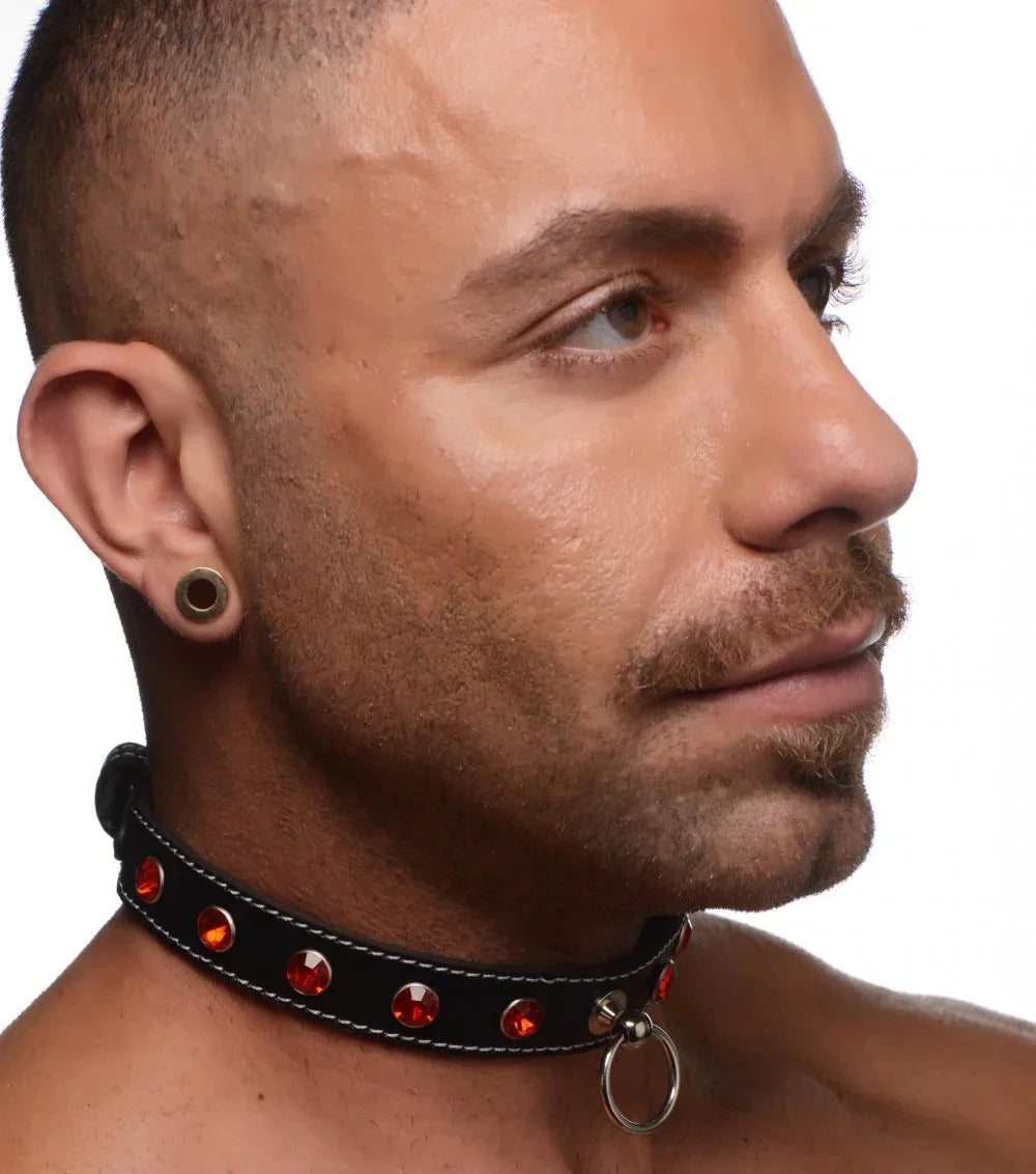 Rhinestone Collar with O-Ring - Puppy's Aesthetics