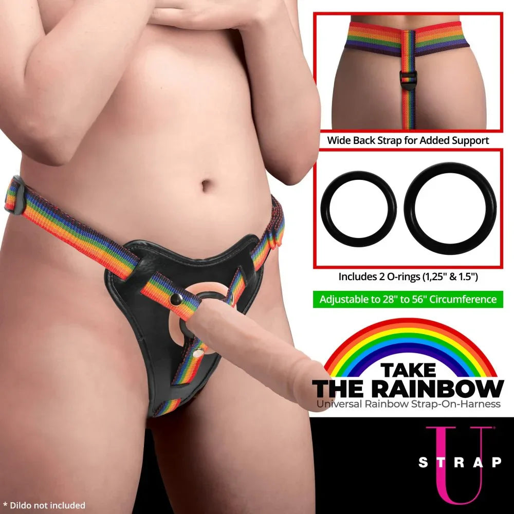 Rainbow Strap On Harness with Silicone O-Rings - Puppy's Aesthetics
