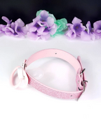 Blue Paw Glitter Pink Pacifier Gag