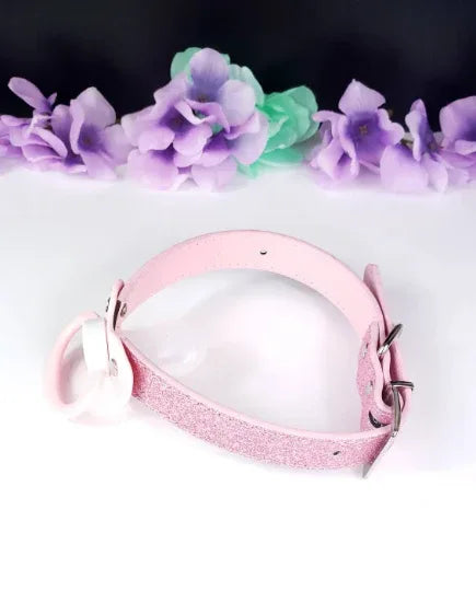 Blue Paw Glitter Pink Pacifier Gag - Puppy's Aesthetics