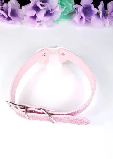 Blue Paw Glitter Pink Pacifier Gag - Puppy's Aesthetics