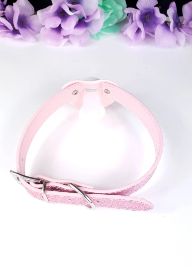 Blue Paw Glitter Pink Pacifier Gag